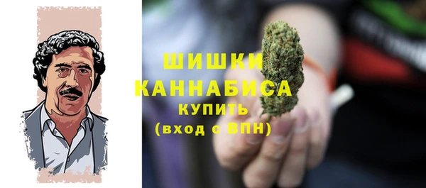 спиды Горняк