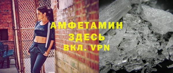гидра Ельня